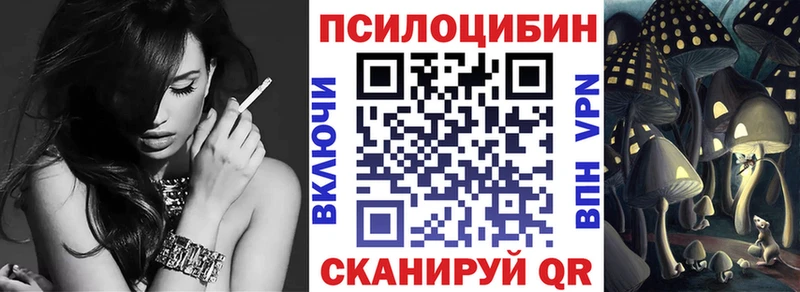 Псилоцибиновые грибы Cubensis  Магнитогорск 